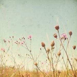 Meet your Posher, Audrey